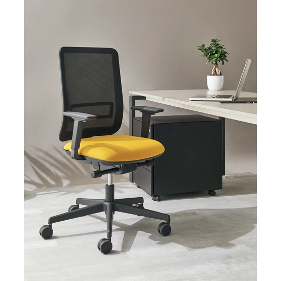 Victoria Ergonomic office chairs Ap Factor 1