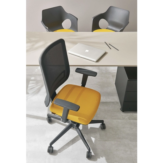 Victoria Ergonomic office chairs Ap Factor 2