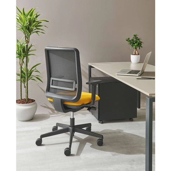 Victoria Ergonomic office chairs Ap Factor 3