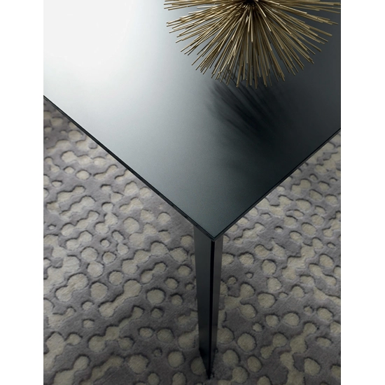 Theorem 120x80 (180) Extendable tables Altacom 7