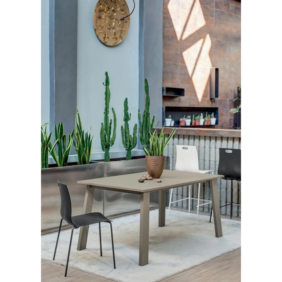 Olly Plastic chairs ingenia 1