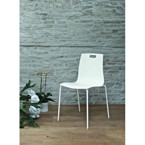 Olly Plastic chairs ingenia