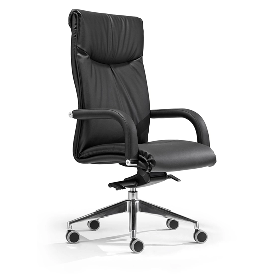 Presidential Sally Executive office chairs Milani 2