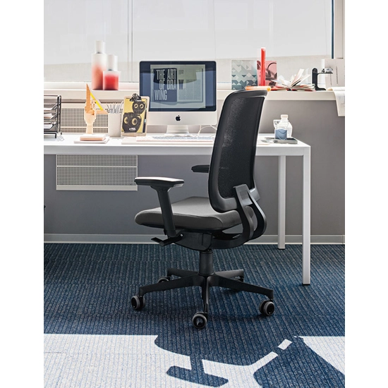 Tam on the Net Ergonomic office chairs Milani