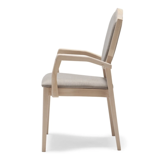 Blason Armrests Living room armchairs Origins 1971 2