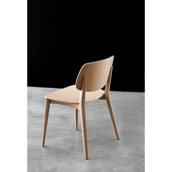 Dollwood 550 Modern wooden chairs Billiani 1