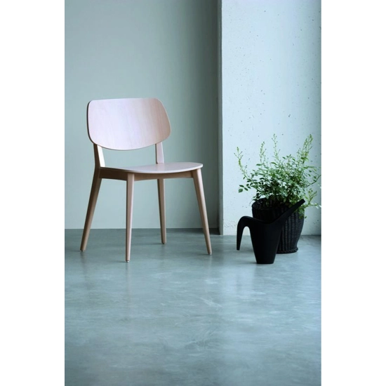 Dollwood 550 Modern wooden chairs Billiani 5