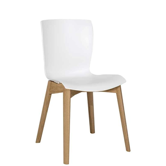 rap w Plastic chairs Colico 1