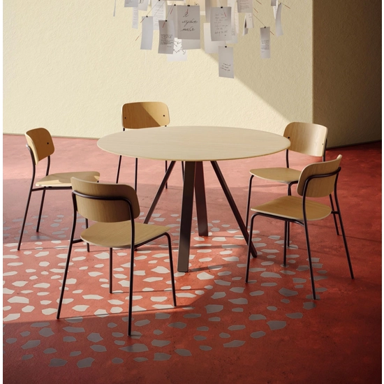 Daily Metal chairs Colos 4