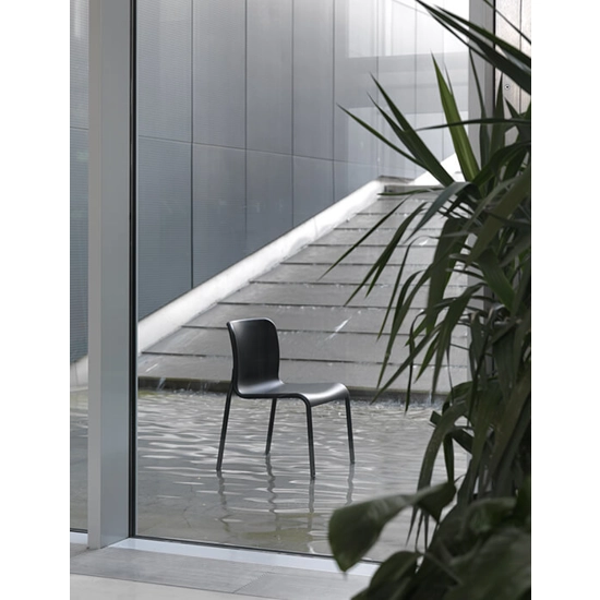 Momo Net Contract chairs Colos 12