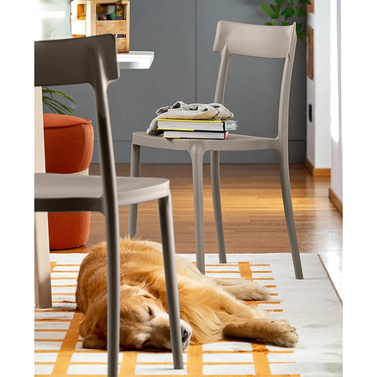 Argo CB1523 Sedie in plastica di design Connubia 6