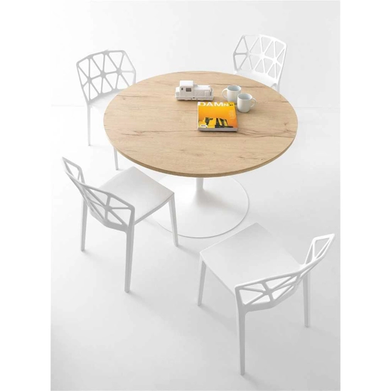Alchemy CB1056 Plastic chairs Connubia 5