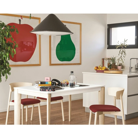 Lord 160x85 (220) - CB4832-R 160 - Gamba Legno Tavoli moderni Connubia 4