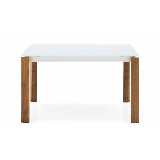 Eminence W 160x90 (210) - Gambe Legno Tavoli moderni Connubia 12