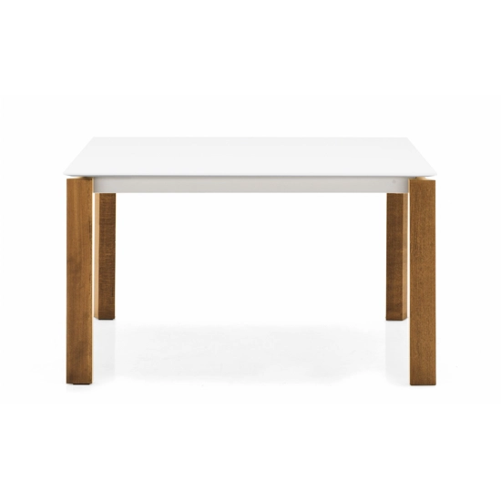 Eminence W 160x90 (210-260) - Gambe Legno Tavoli moderni Connubia 11