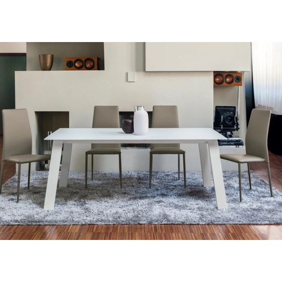 Renee Upholstered chairs ingenia 2