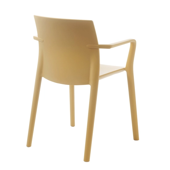 Klia Braccioli (prezzo per sedia in imballo da 2 pz.) Sedie in plastica di design Kastel 11