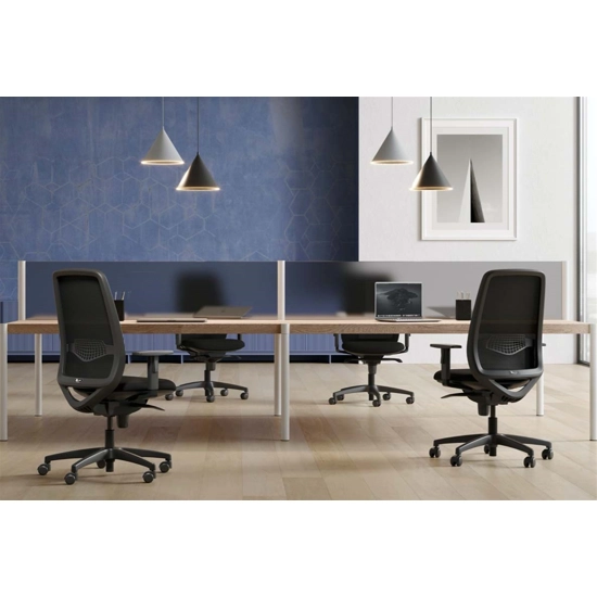 KEY GO - 48 hours Ergonomic office chairs Kastel 5