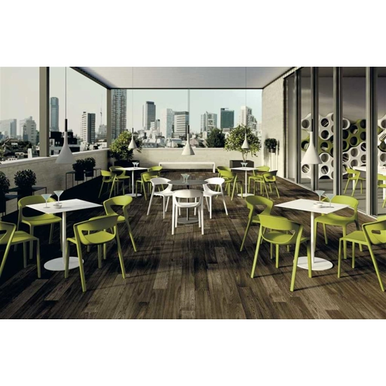 Kicca One Sedia da cucina Kastel 2