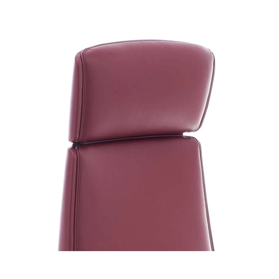 Klivia Alta Executive office chairs Kastel 2