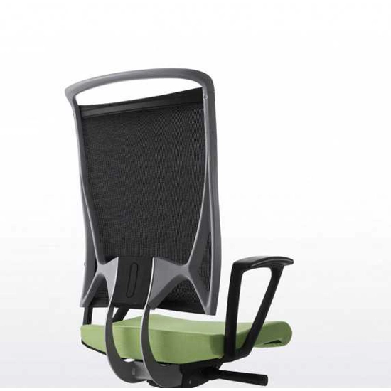 Korium Mesh Ergonomic office chairs Kastel 4