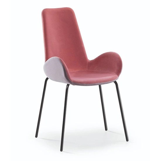 Dalia PA M M TS Upholstered chairs Midj