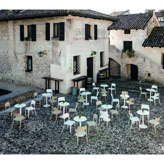 Nene S PP Kitchen chairs Midj 5