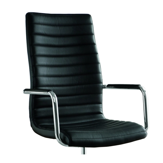 Star DPA TS Executive office chairs Midj 1