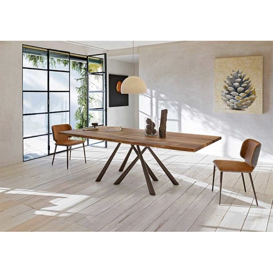 Forest 250x106 Modern tables Midj