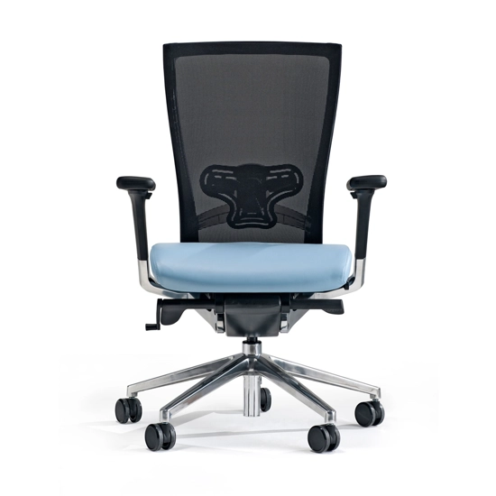 X-Chair 111 Executive office chairs Milani 1