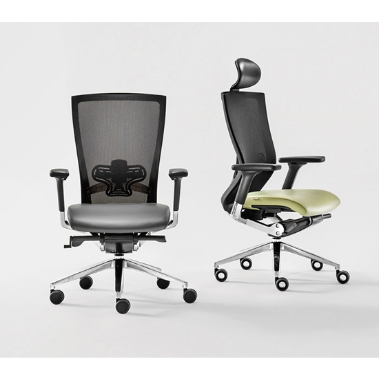X-Chair 111 Executive office chairs Milani 4