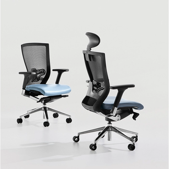 X-Chair 111 Executive office chairs Milani 5