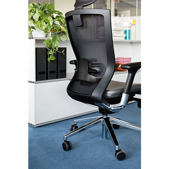 X-Chair Presidenziale Executive office chairs Milani 7