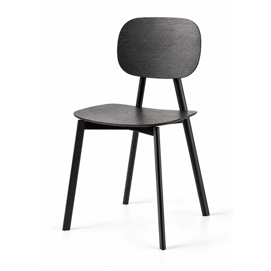 Tata (wooden seat and back) Metal chairs point 4