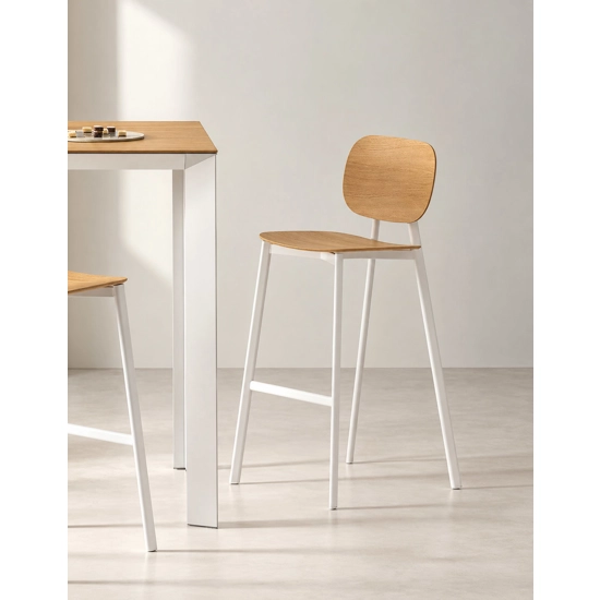 Tata Stool (seat and back in plastic or wood) Metal stools point 1