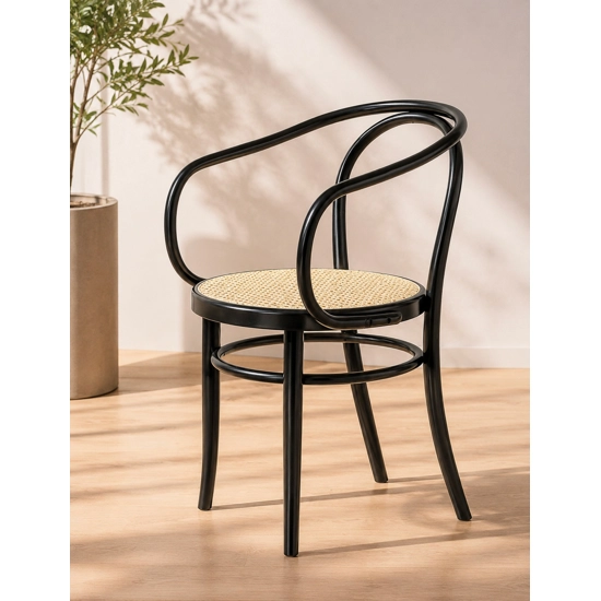 Vienna 08 Viennese chairs Progetto Sedia 2