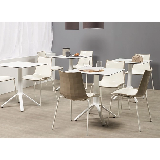 Zebra Bicolore Sedie da cucina Scab 9
