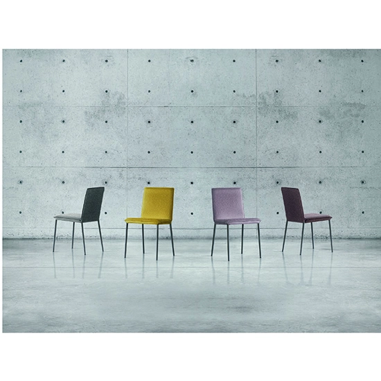 Elena Living room chairs Sedit 2