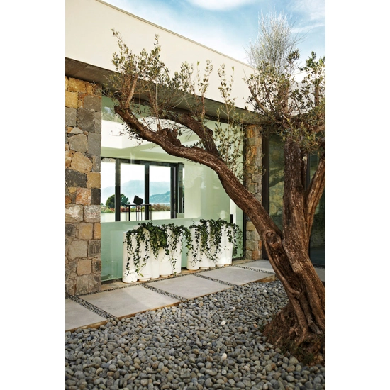 bamboo Vases Slide 3